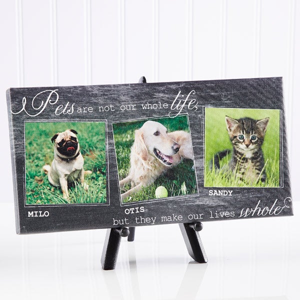 Personalized Pet Photo Canvas Prints - My Pets - 13340
