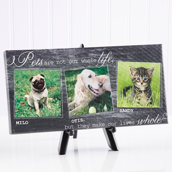 Personalized Pet Photo Canvas Prints - My Pets - 13340