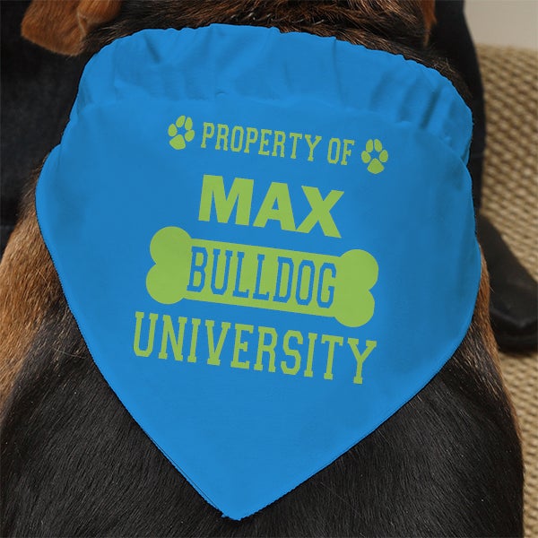 Personalized Dog Bandana Property Of