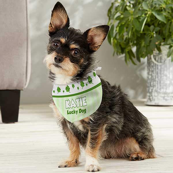 Personalized Dog Bandanas - Four Leaf Clovers - 13459