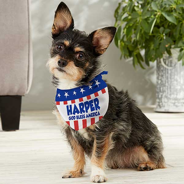 seasonal dog bandanas