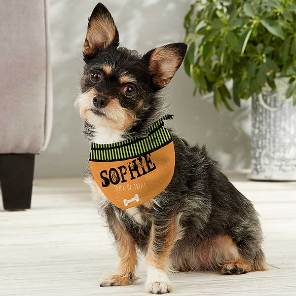 Personalized Dog Bandanas - Happy Halloween - 13461