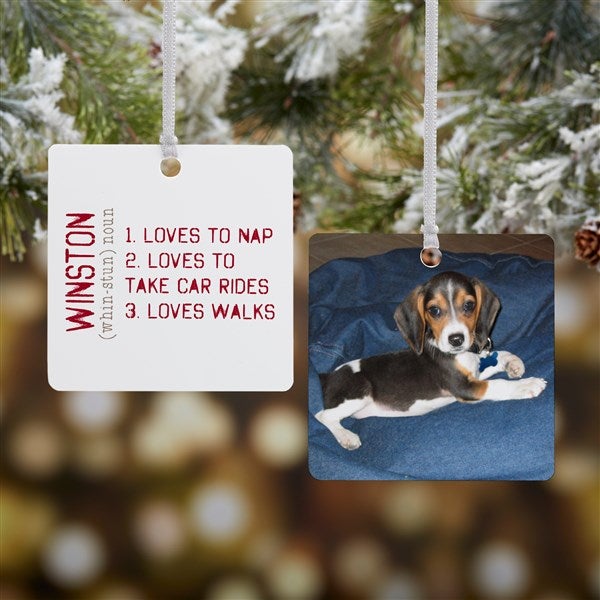 Definition of My Pet Personalized Pet Ornament - 15076