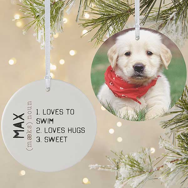 Definition of My Pet Photo Ornament - Matte