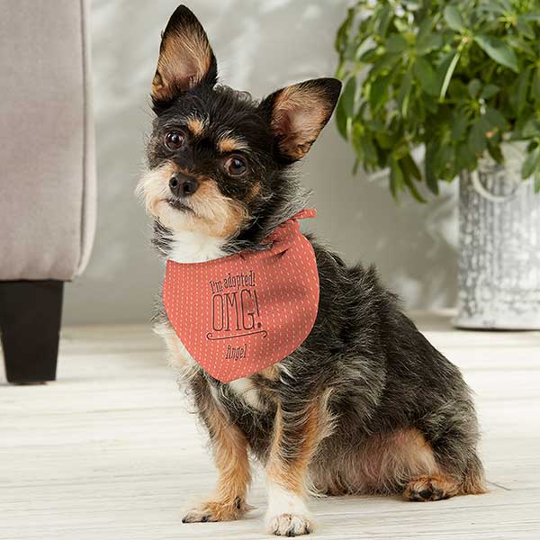 Personalized Dog Bandana - I'm Adopted - 16393