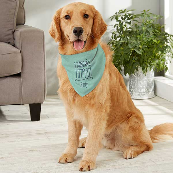 adopted dog bandana