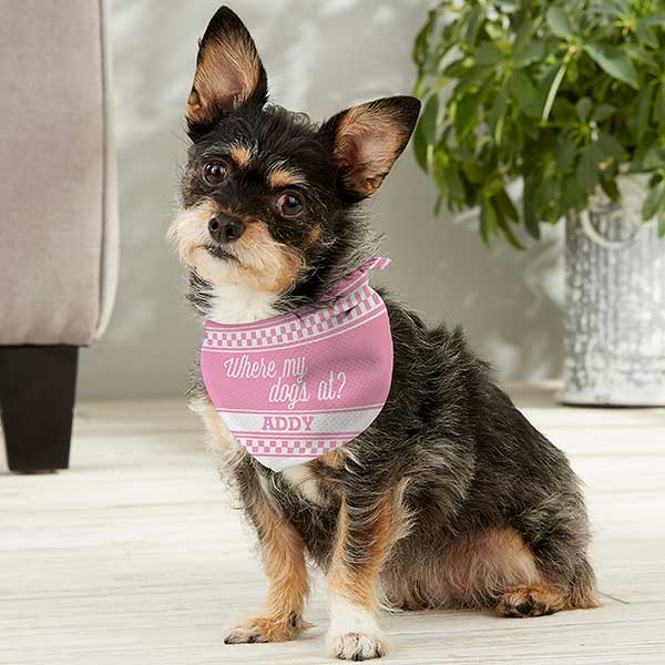 Personalized Dog Bandanas with Collar mothers day gift Dog Mom Bandana gift Dog Mom Gift Dog Collar with Bandana