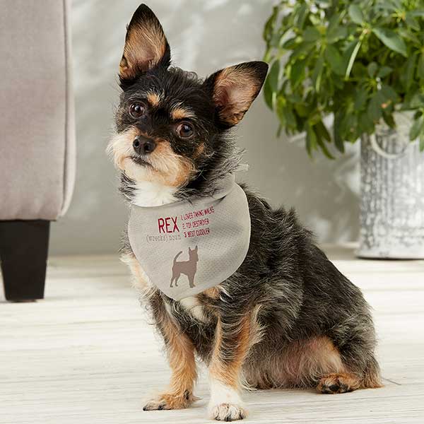 Personalized Pet Bandana - Definition Of My Dog - 16404