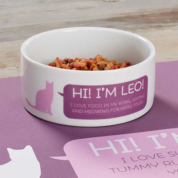 personalized dog bowls pet