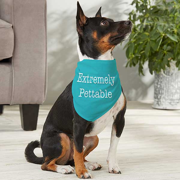 Personalized Dog Bandana - Add Any Text - 19041