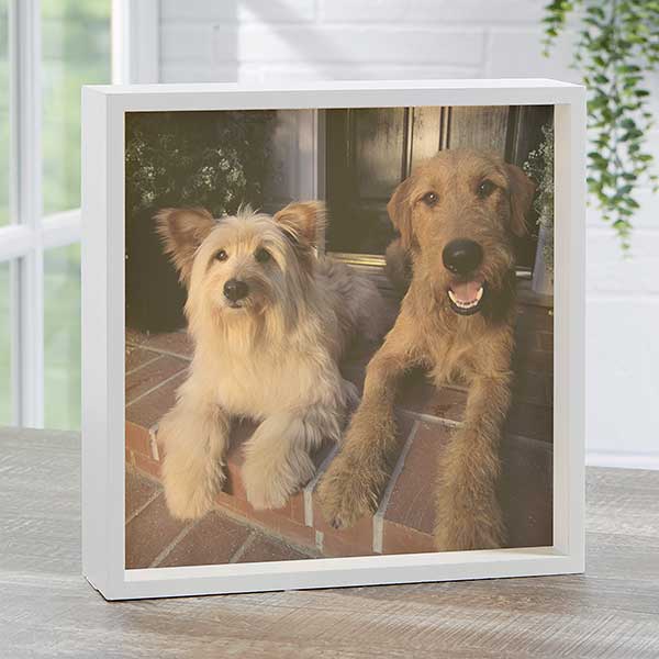 Personalized Pet Photo LED Light Shadow Box - 20534