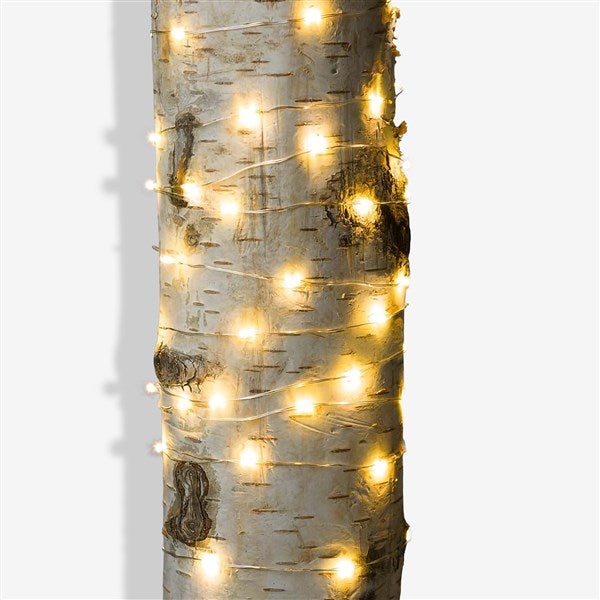 LED String Lights - 60 Count - 20935