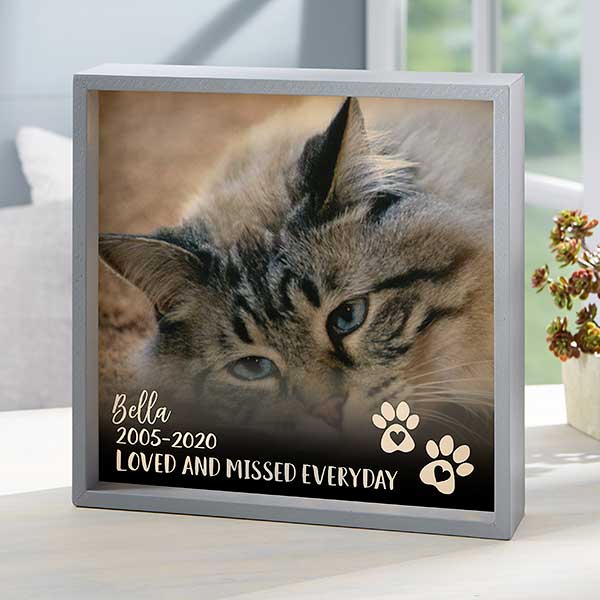 Pet Photo Memorial Personalized LED Shadow Box - 21192
