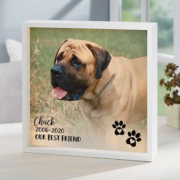 Pet Photo Memorial Personalized LED Shadow Box - 21192