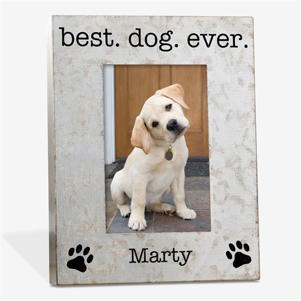 Personalized Galvanized Steel Box Pet Picture Frames - 23542