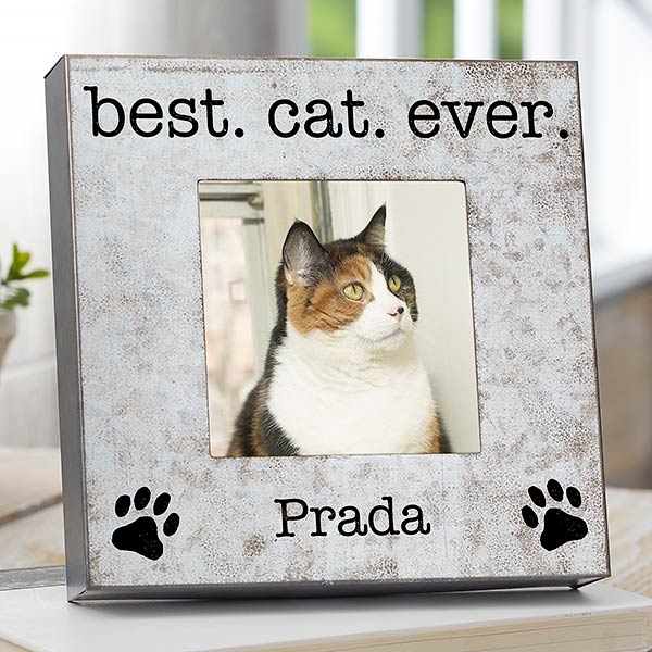 Personalized Galvanized Steel Box Pet Picture Frames - 23542
