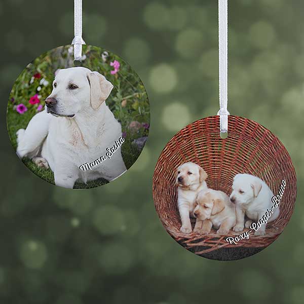 Personalized Pet Photo Ornaments - 24916