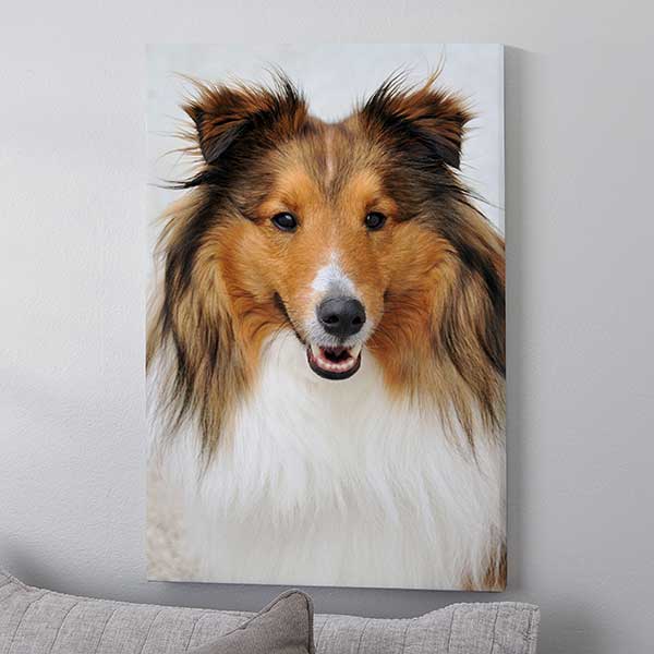 Pet Photo Memories Custom Canvas Prints - 24982