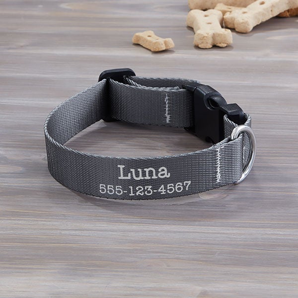 Pet Initials Personalized Dog Collars - 25532