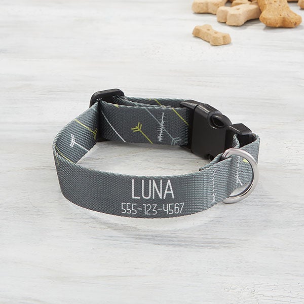 Modern Arrow Personalized Dog Collars - 25533