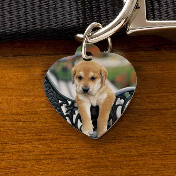 Photo Upload Personalized Dog ID Tags - 27322