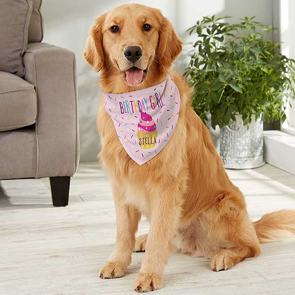 Personalized  Dog's Birthday Dog Bandanas - 27342