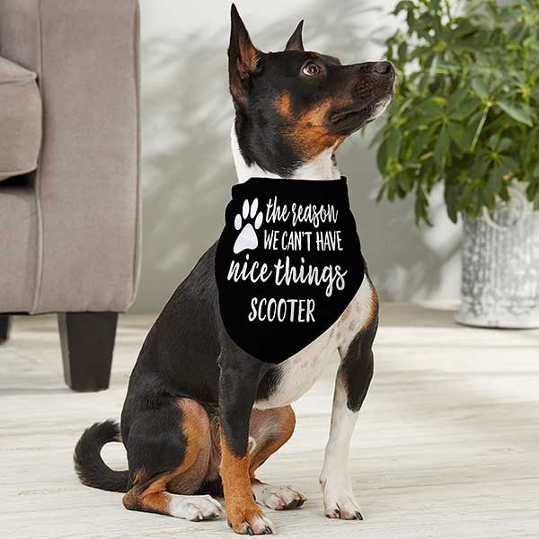 The Reason We Can't Have Nice Things Personalized Dog Bandanas - 27351