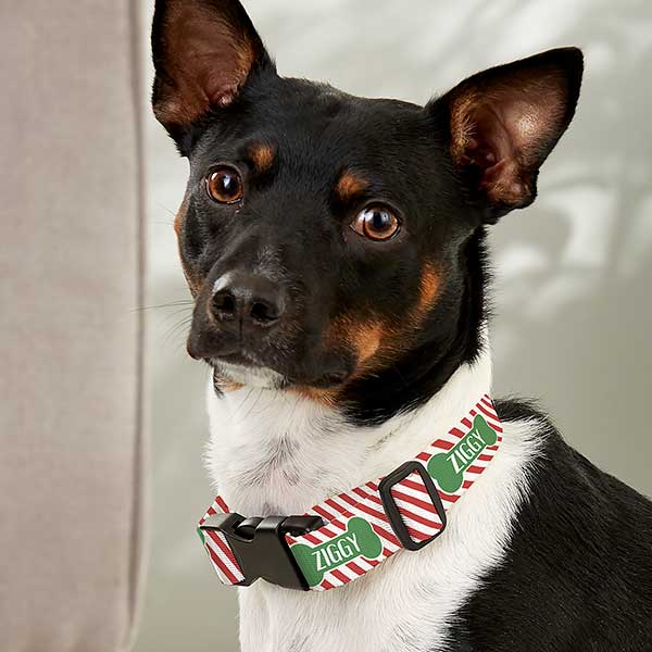Striped Candy Cane Personalized Christmas Dog Collars - 27841