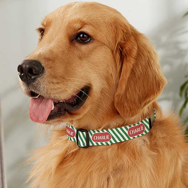 Striped Candy Cane Personalized Christmas Dog Collars - 27841