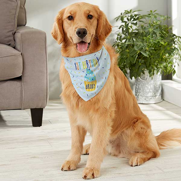 Dog's 1st Birthday Personalized Dog Bandanas - 28116