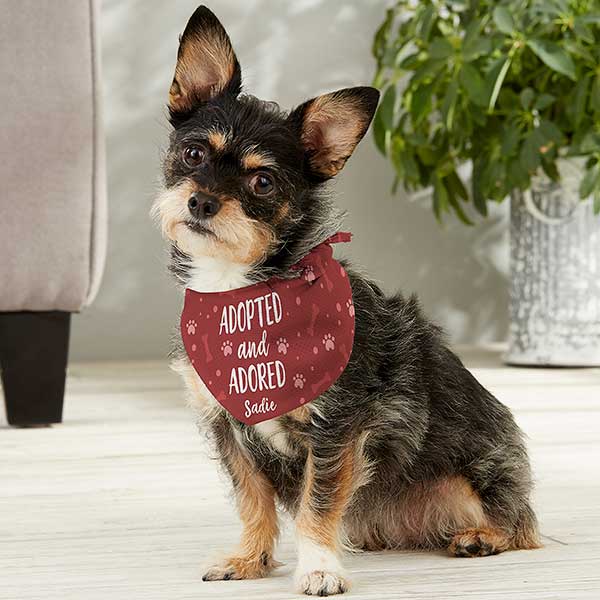 Adopted & Adored Personalized Dog Bandanas - 29292
