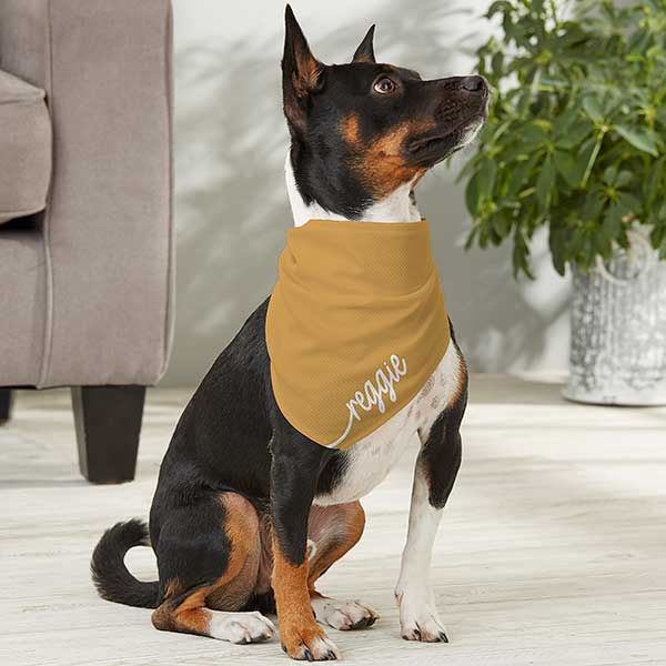 Script Name Personalized Dog Bandanas - 29308