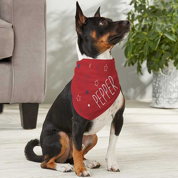 Medium dog sale bandana
