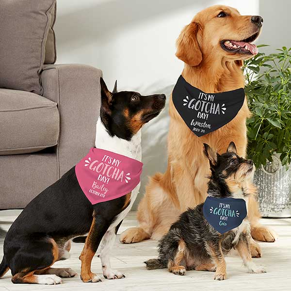 gotcha day dog bandana