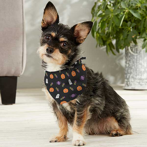 Halloween Icon Personalized Dog Bandanas - 29315