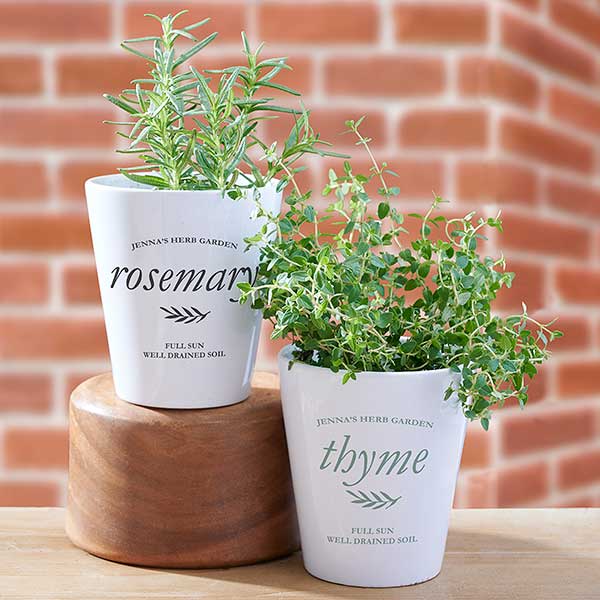 Herb Garden Personalized Mini Flower Pots - 29663