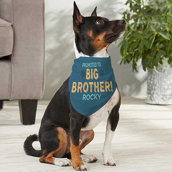 Promoted to Big Brother Personalized Dog Bandanas - 30262