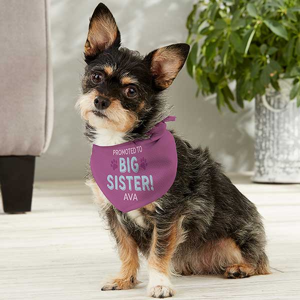 Promoted to Big Sister Personalized Dog Bandanas - 30263