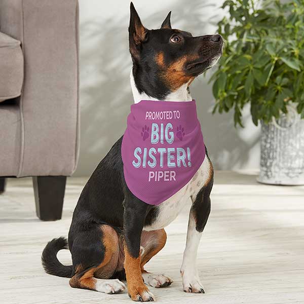Promoted to Big Sister Personalized Dog Bandanas - 30263