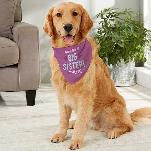 Promoted to Big Sister Personalized Dog Bandanas - 30263