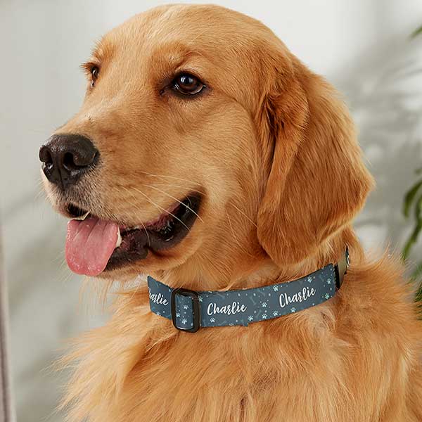 Puppy Pattern Personalized Dog Collar - Large/X-Large - On Sale Today!