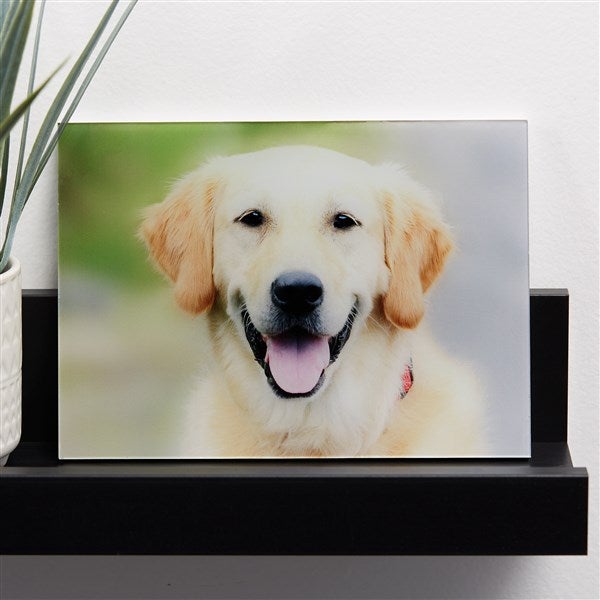 Pet Personalized Glass Photo Prints - 33267