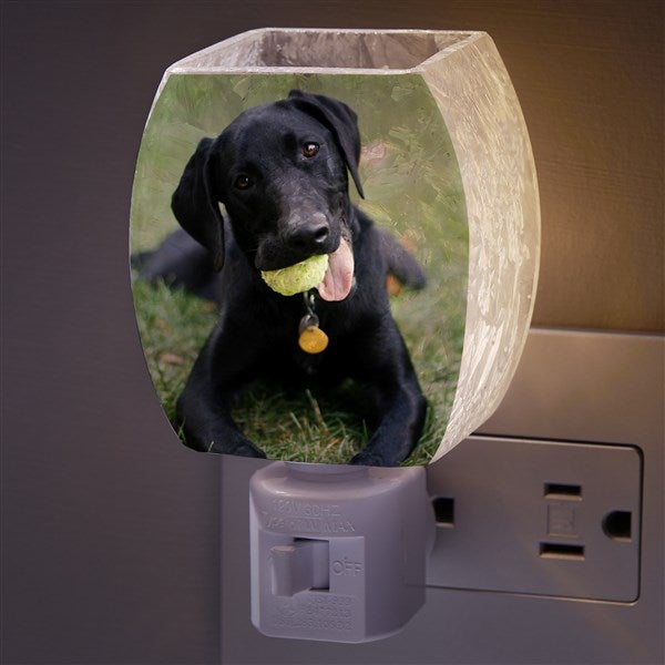 Pet Photo Personalized Frosted Night Light  - 37132