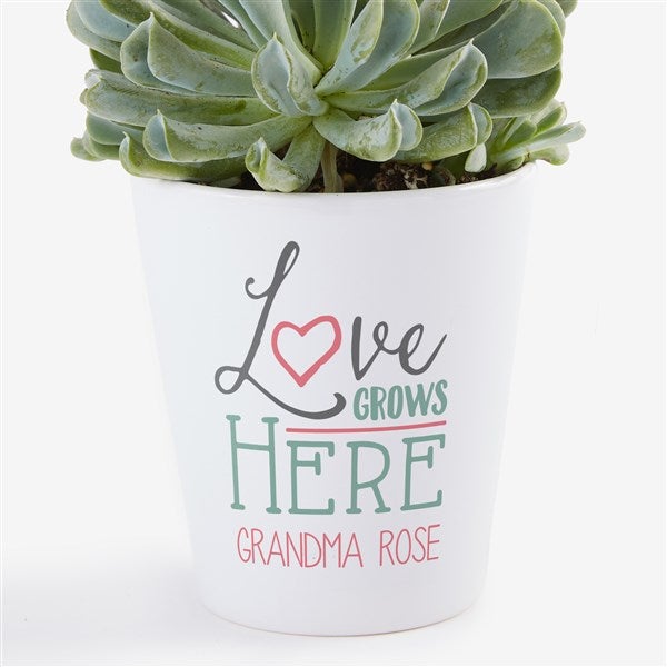 Love Grows Here Personalized Mini Flower Pot  - 37148