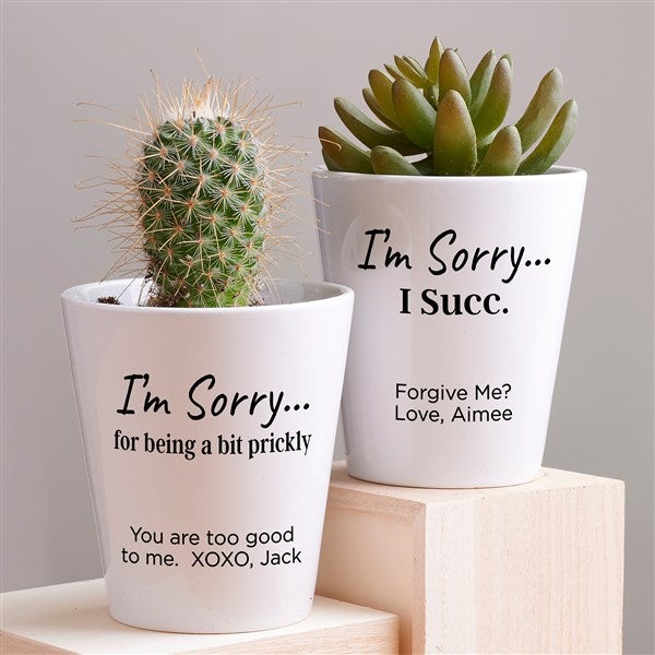 I'm Sorry… Personalized Mini Flower Pot - 41374