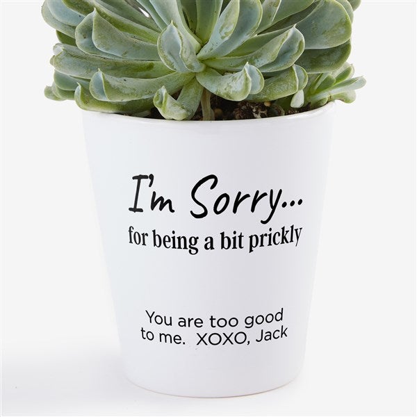 I'm Sorry… Personalized Mini Flower Pot - 41374