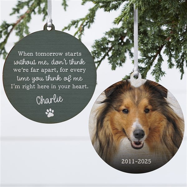 Pet Memorial Personalized Ornament  - 43045