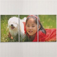 Split Panel Photo Canvas Prints - 3 Panels - 6878