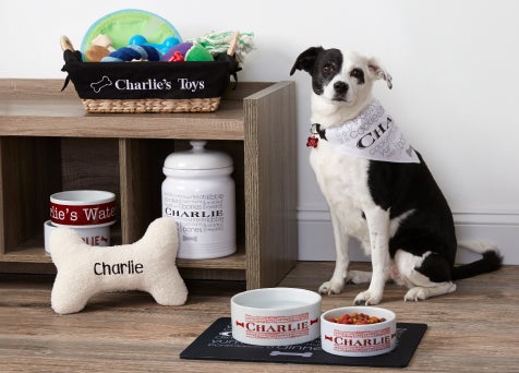 Christmas Gifts For Pets
