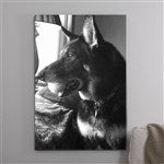 customer testimonial image